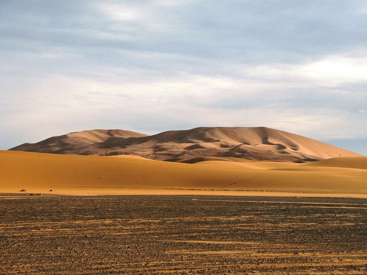 Un desierto analógico
